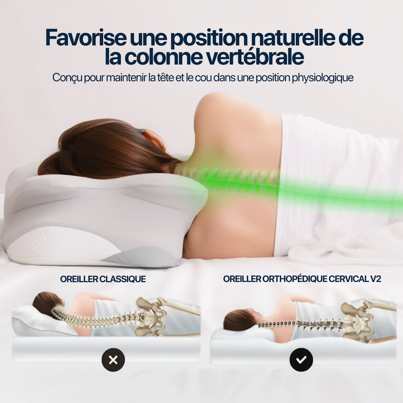 Oreiller Orthopédique Cervical v2