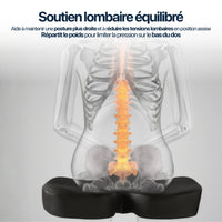Coussin d’Assise Ergonomique